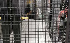 外貿(mào)網(wǎng)站域名有哪些因素可以考慮|域名服務器